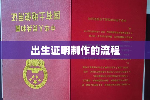 炎陵出生证明制作的流程